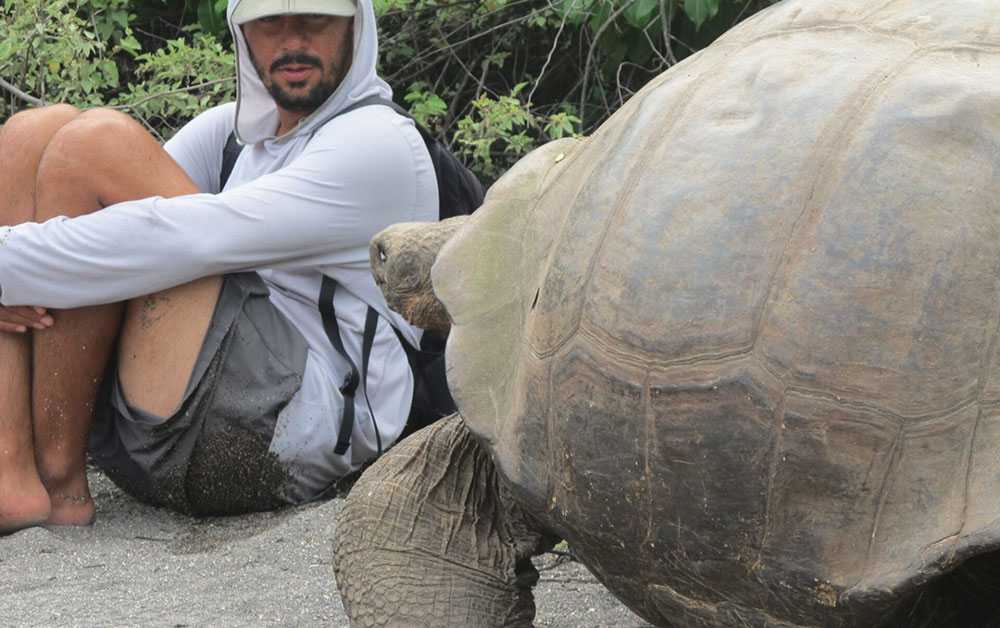 guide and giant tortoise urbina bay isabela galapagos