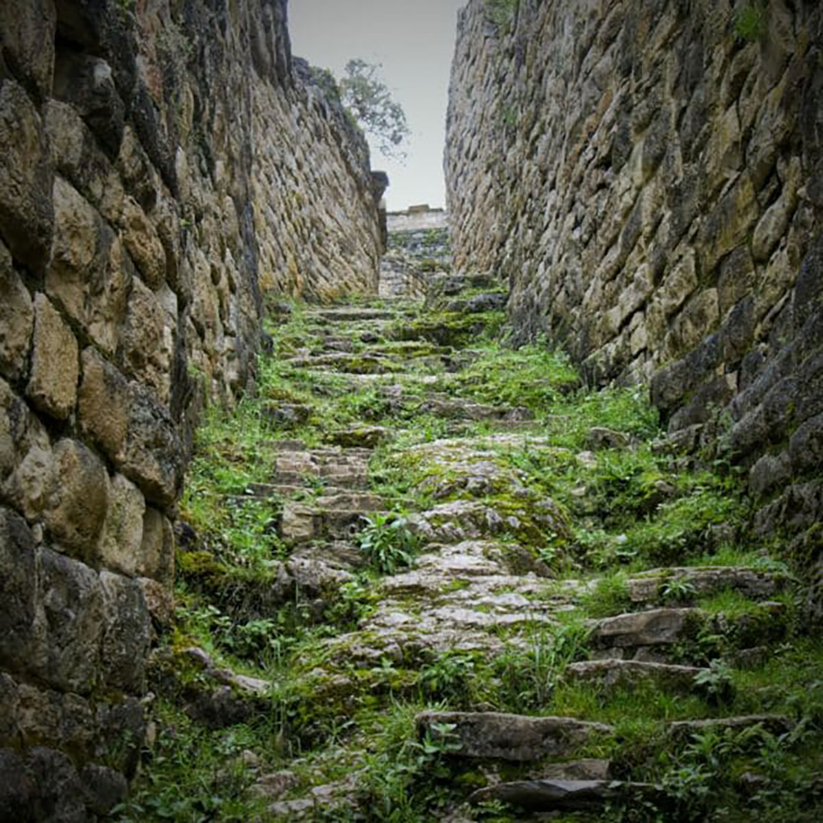 Long steps Kuelap Peru