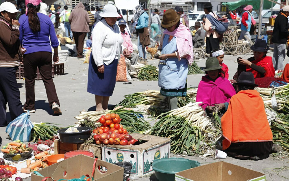 typical indigenous market ecuador