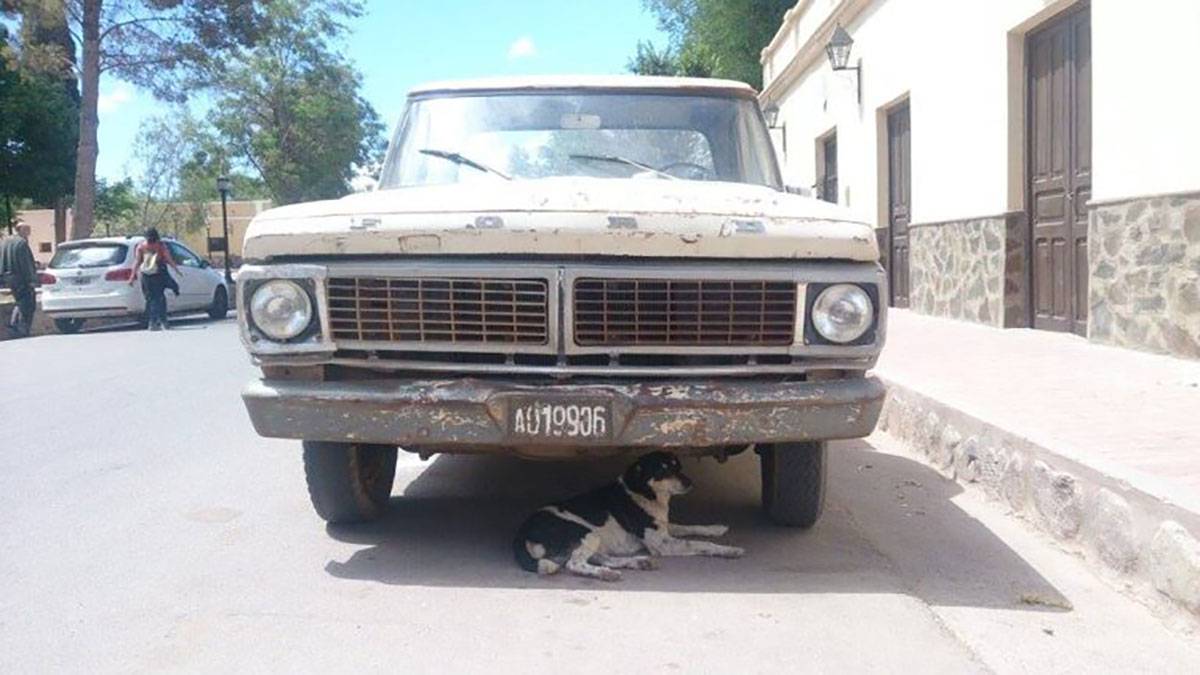 Car Shelters From Sun In Cafayate Jujuy Argentina