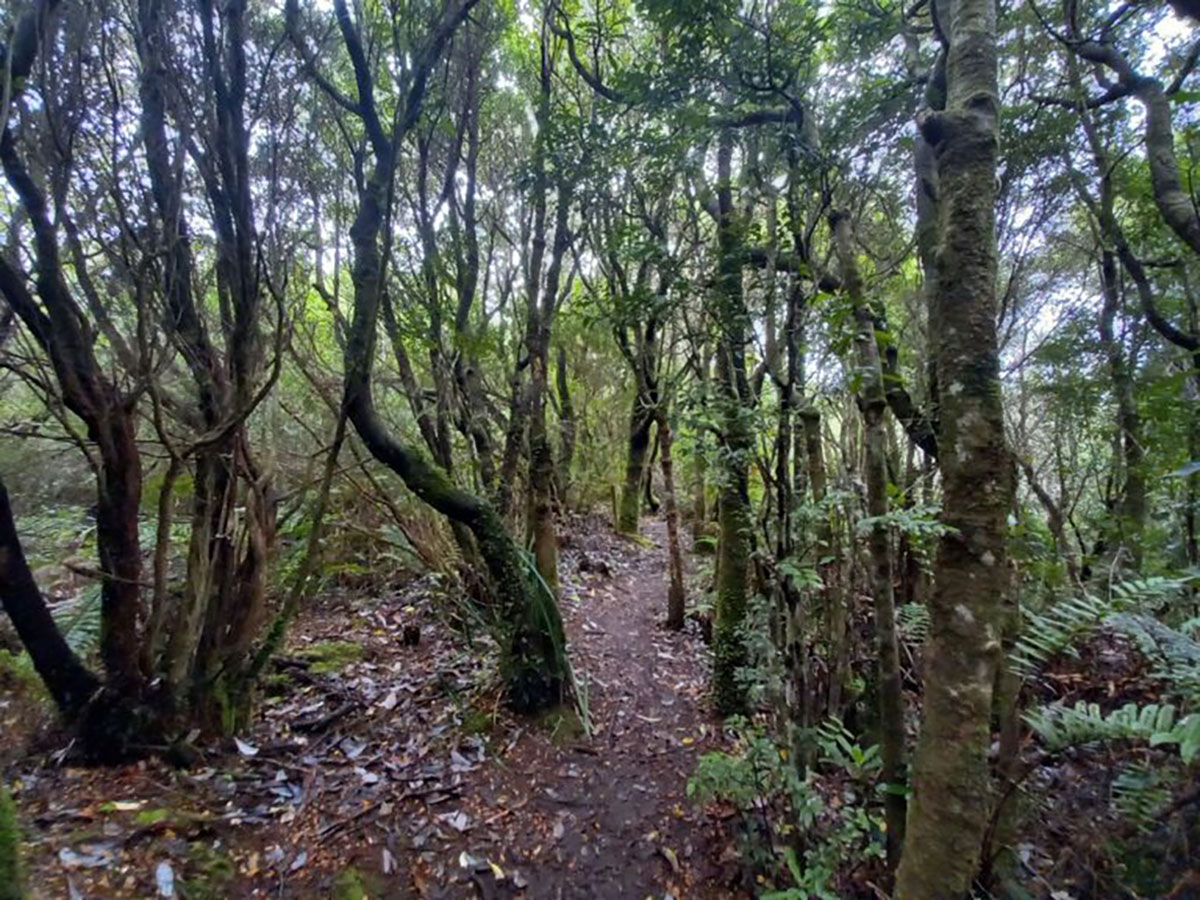 Chiloe National Park