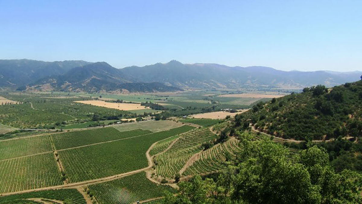Colchagua Valley, Chile