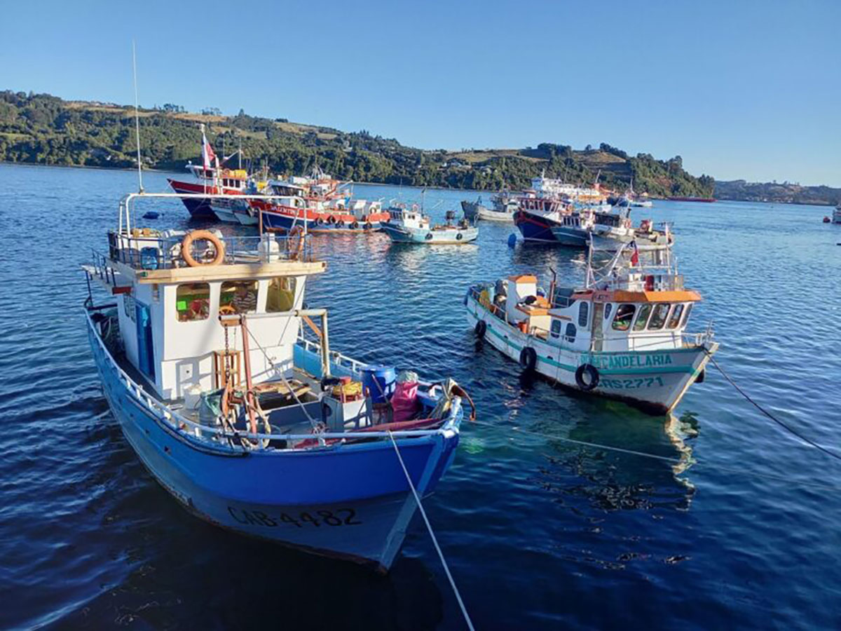 Fishing boats Chiloe