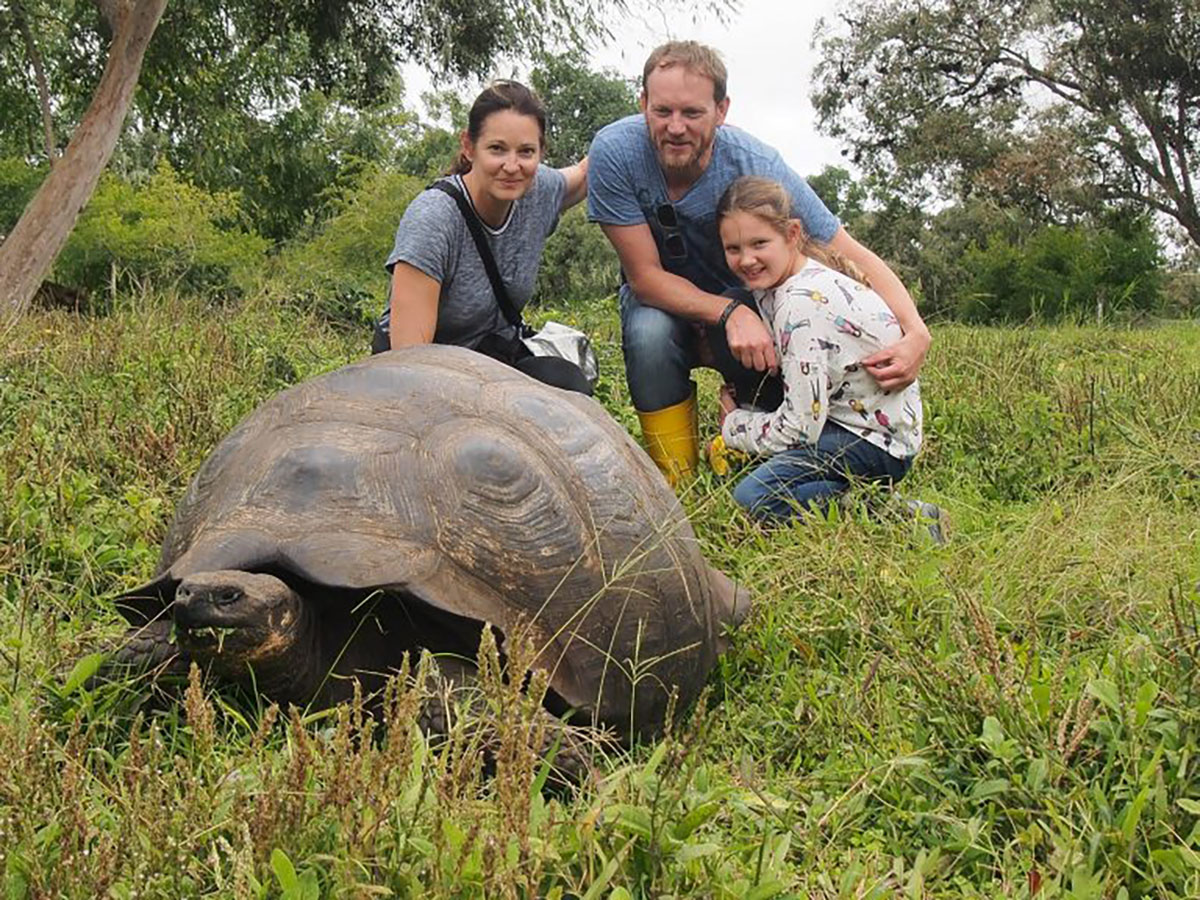 Giant Tortoise Family Galapagos