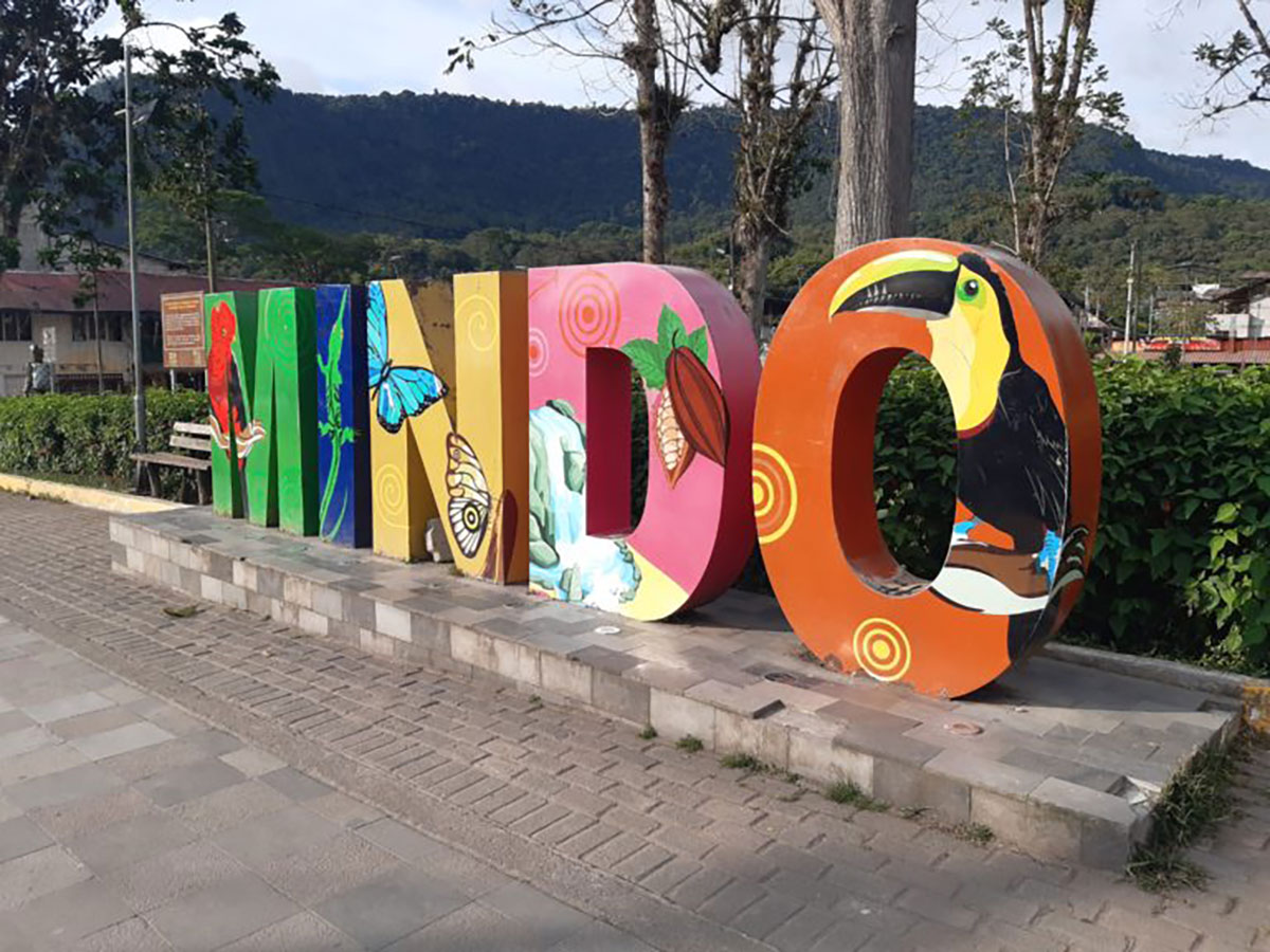 Mindo sign in Mindo