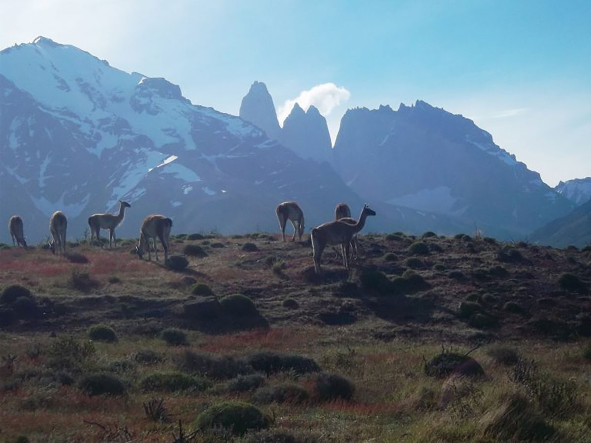 Trek between Sarmiento and Amarga entrances, Torres del Paine, Patagonia, Chile