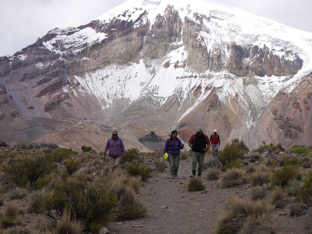 Trekking Sajama base camp Bolivia