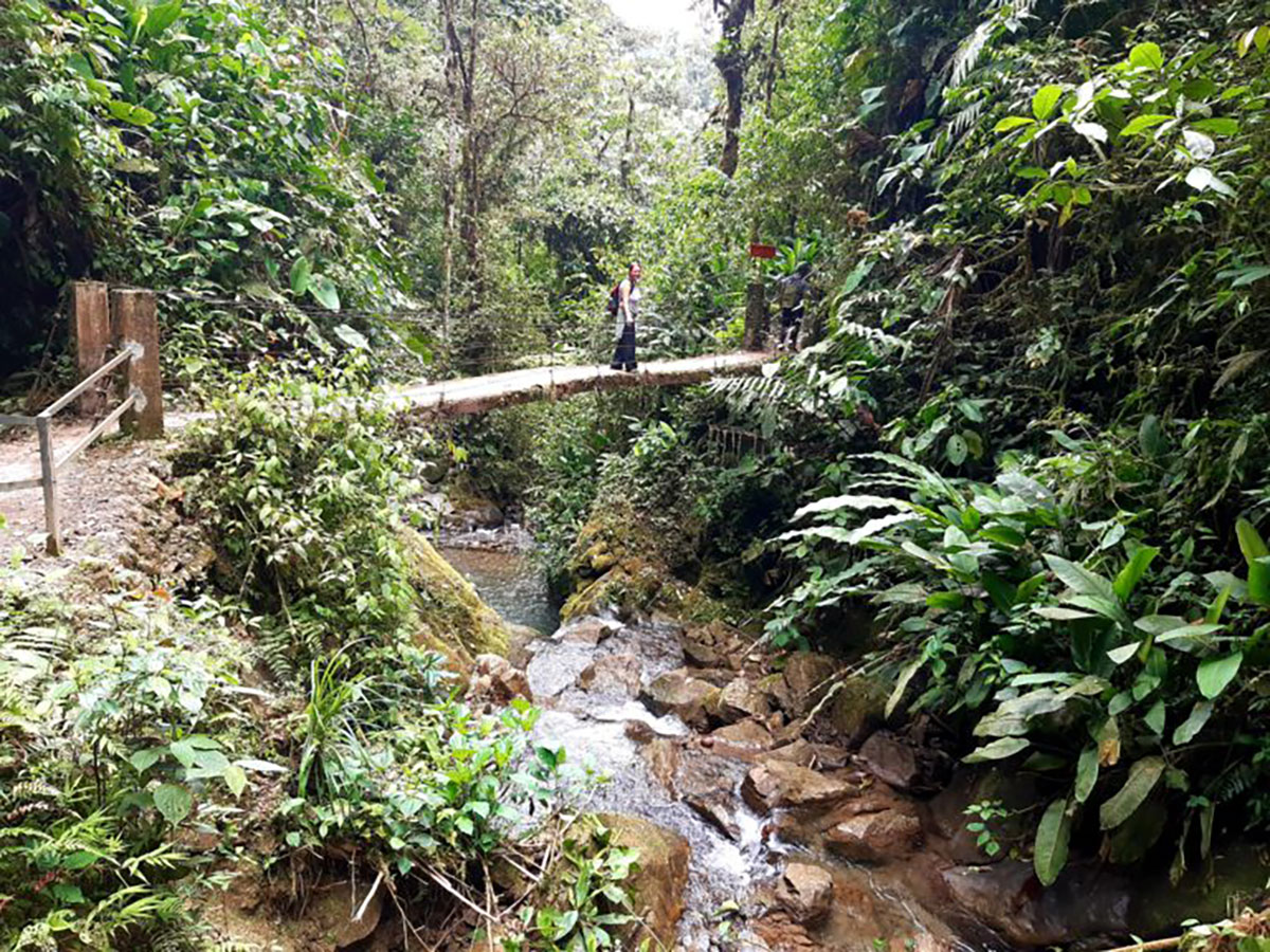 Waterfall walk and bridge at Mindo cloud forest, Ecuador