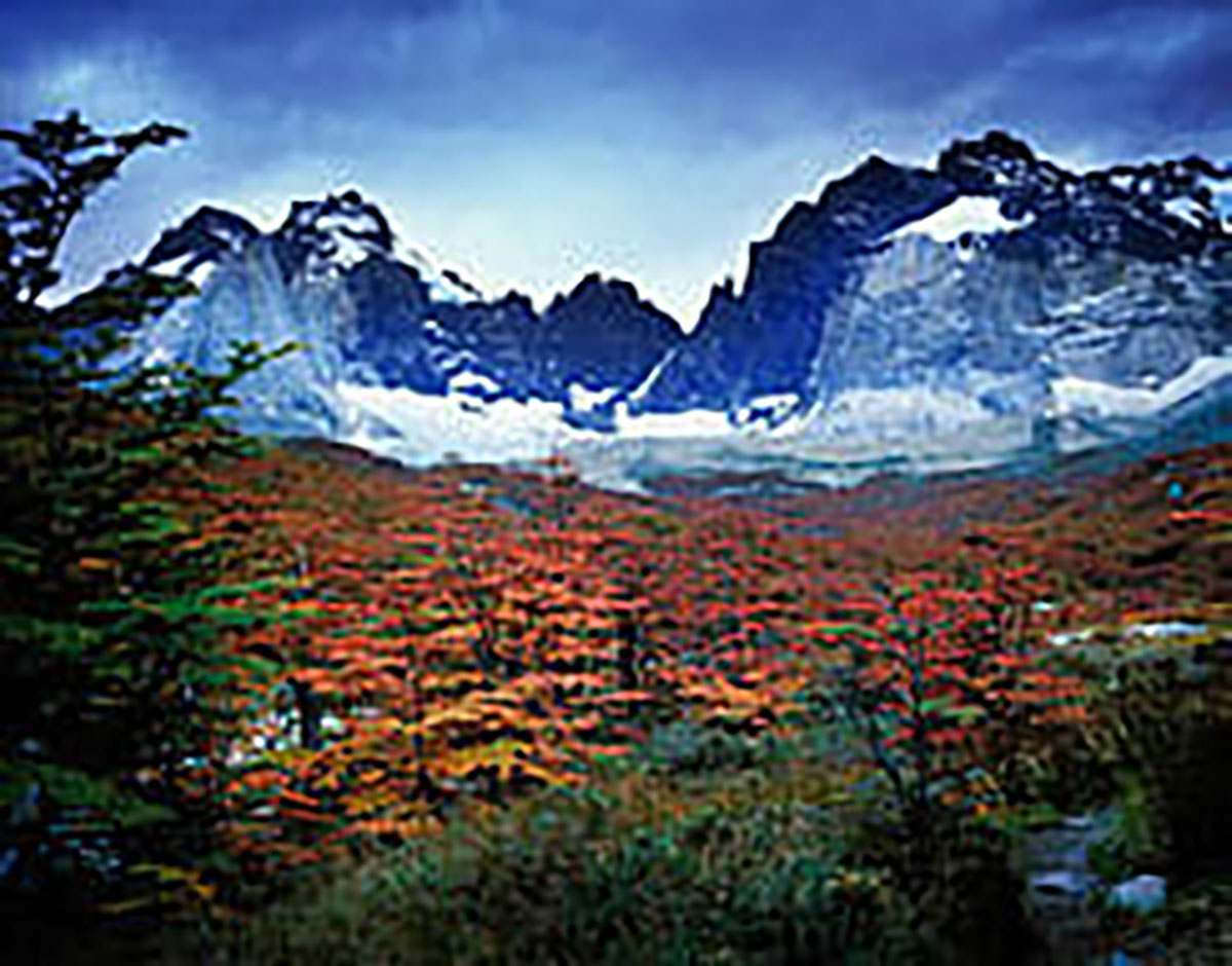 Autumn in Torres Del Paine National Park Chile Patagonia