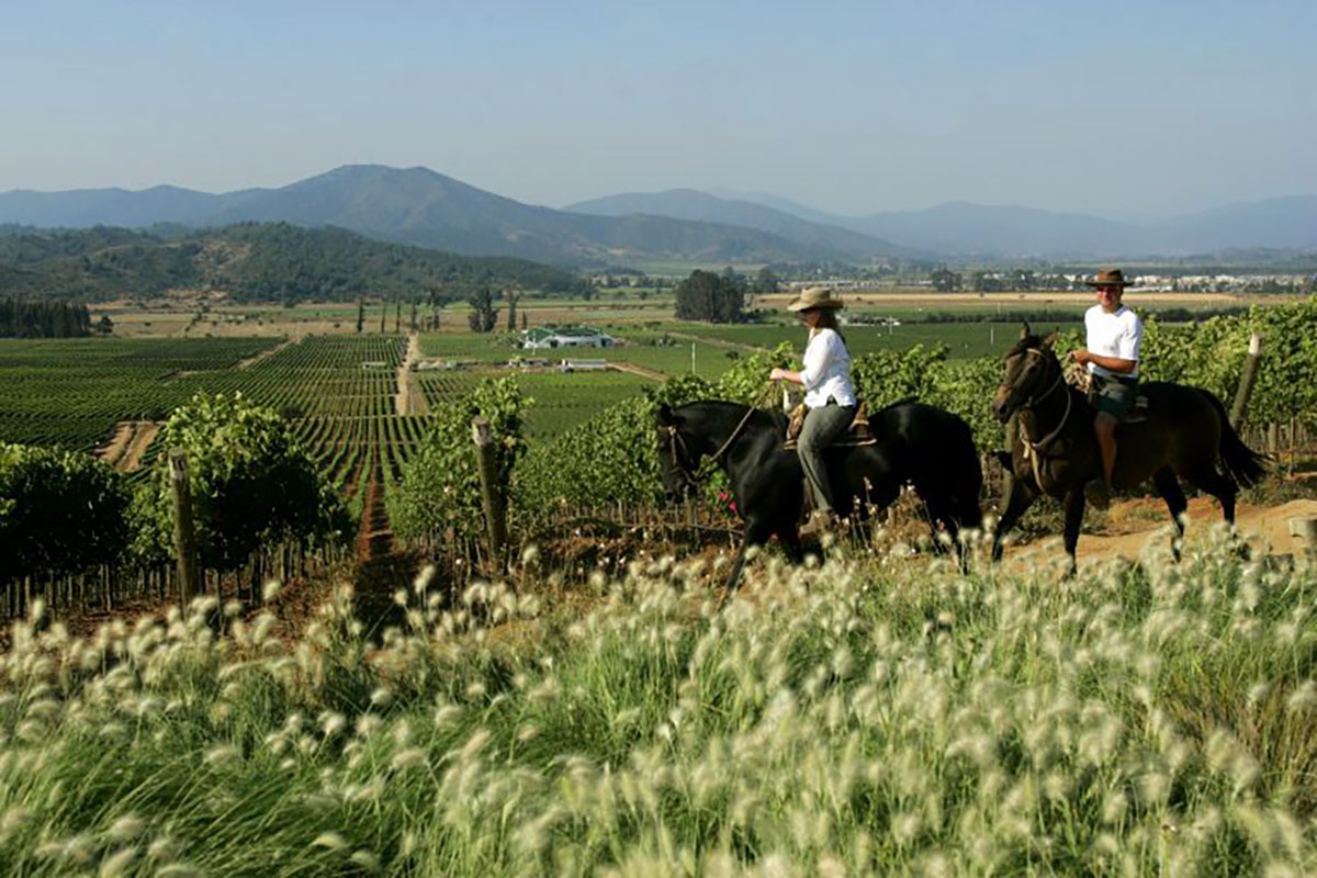 Horse riding wine region Chile