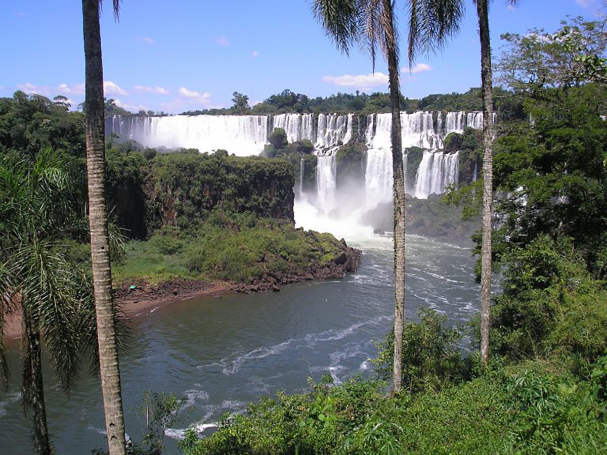 Iguazu Falls With Palms Argentina