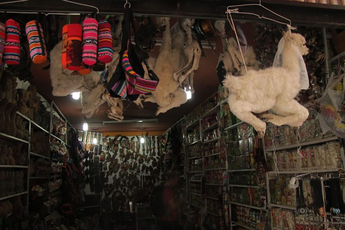 Llama foetus market, La Paz, Bolivia