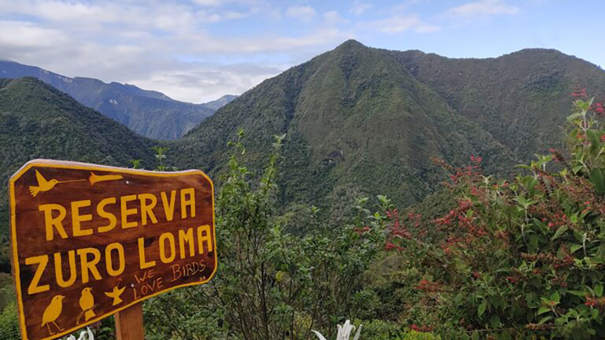 Reserva Zuro Loma view Mindo ecuador