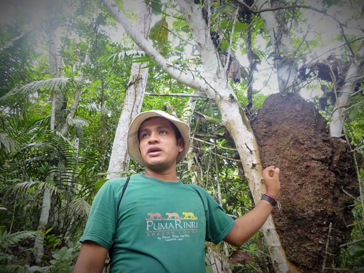 Tarapoto guide ecolodge Peru