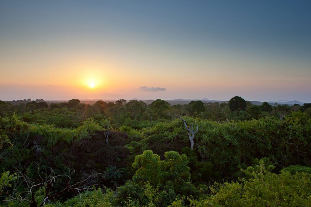 View over Safari Camp Galapagos
