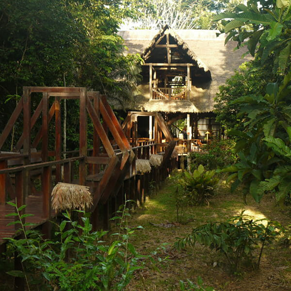 walkways refugio amazonas peru