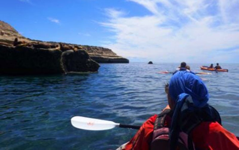 sea kayak peninsula valdes argentina