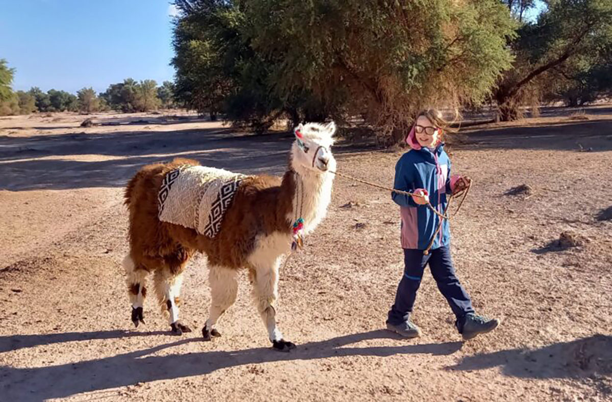 Llama Trekking