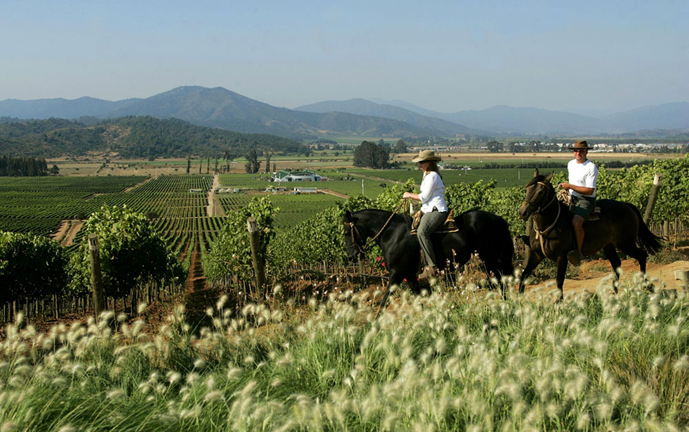 horse riding wine region chile
