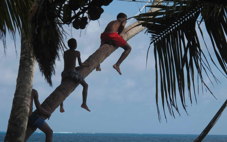 kids playing on a palm tree manzanillo beach providencia colombia