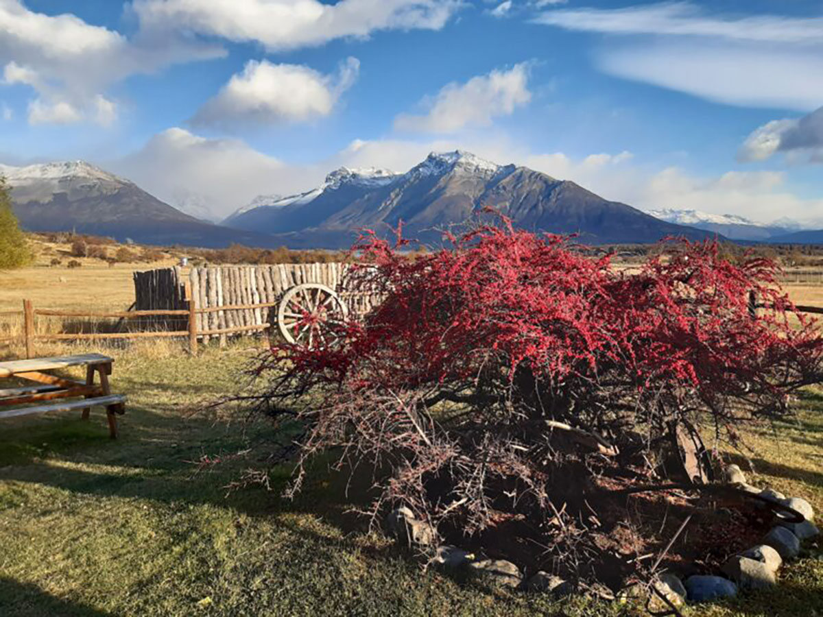 Colourful Tree And Mountains At Estancia Nibepo Aike El Calafate Argentina