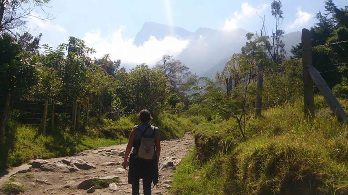 Cocora Trek Colombia