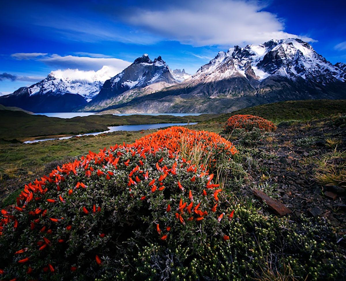 Nordenskjold View Chile
