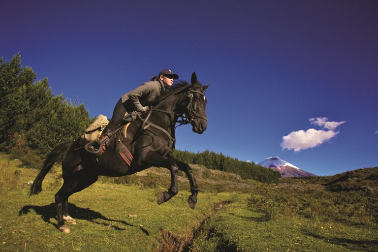 Horse riding