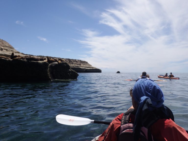Sea kayak at Valdes