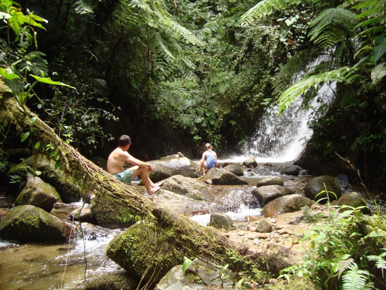 Maquipucuna Cloud forest