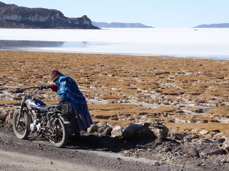 Life on the Altiplano