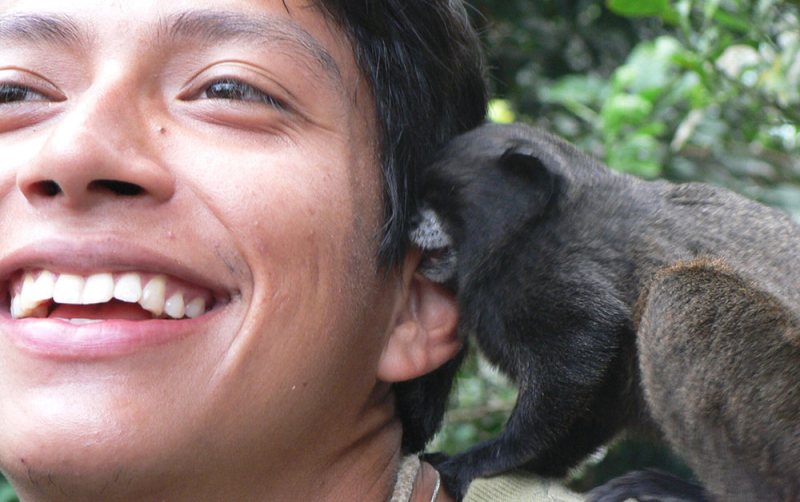 capuchin monkey and guide ecuador
