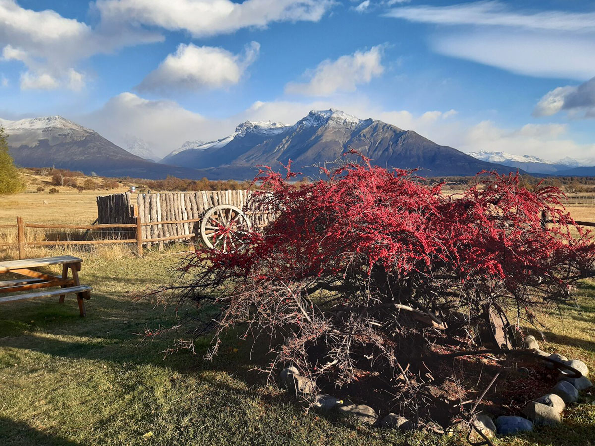 Colourful Tree And Mountains At Estancia Nibepo Aike El Calafate Argentina