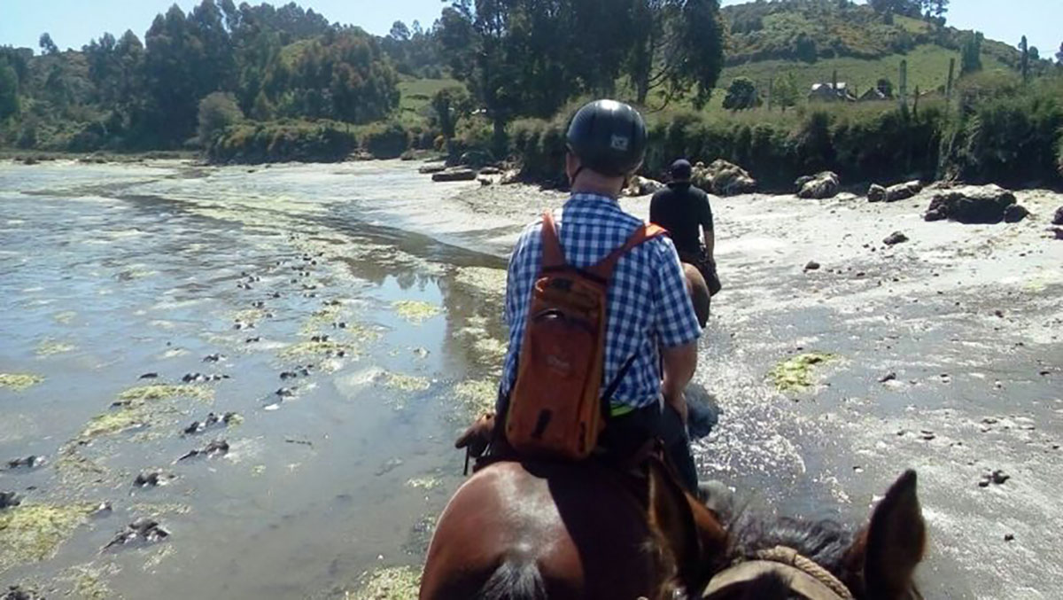 Hotel Tierra Chiloe, Horse ride, Chile