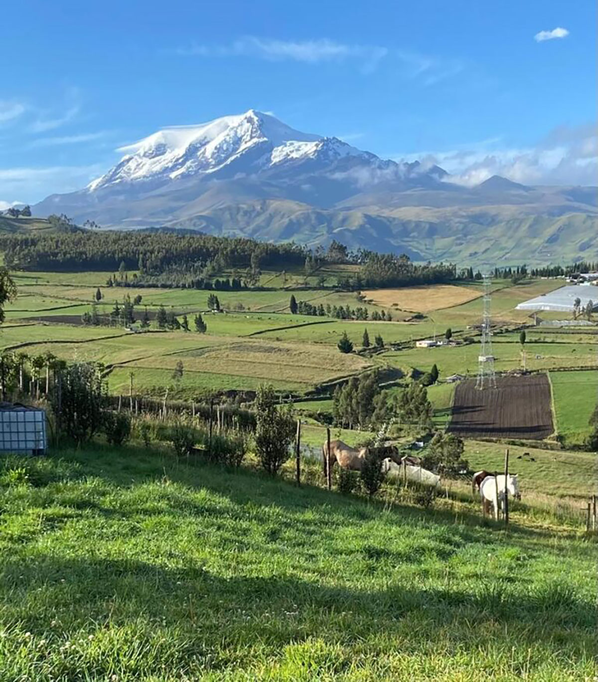Ride-Andes-and-Cotopaxi