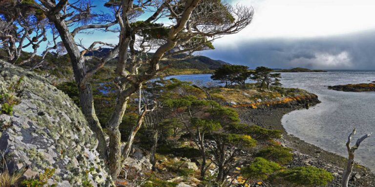 australis wulaia bay patagonia chile