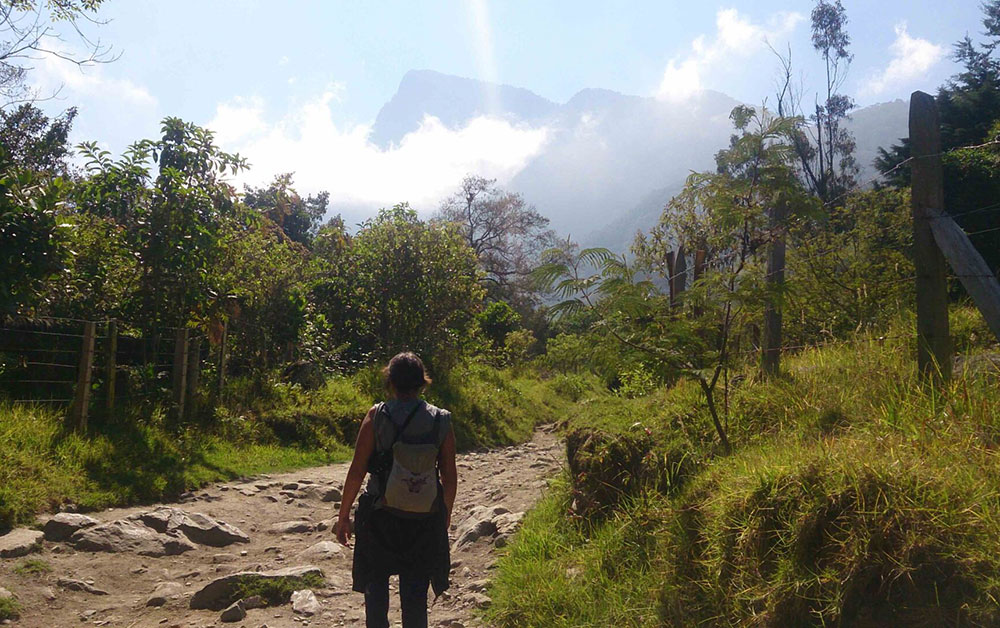 cocora trek colombia