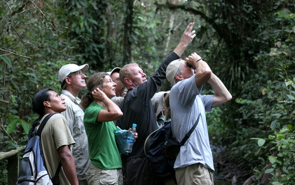 sacha lodge wildlife viewing ecuador
