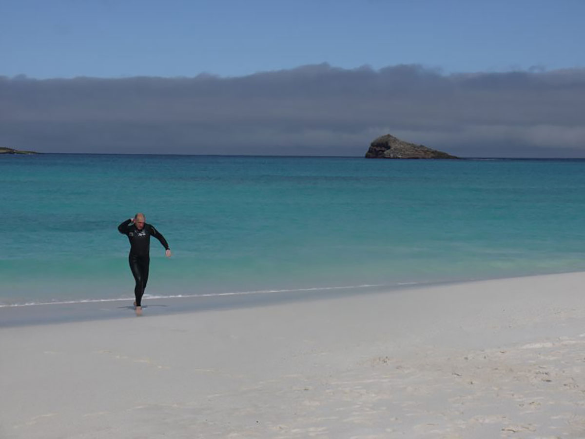 Snorkeller Comes Shore Galapagos