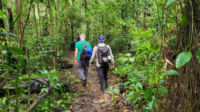 Tambopata Research Centre Amazon Peru