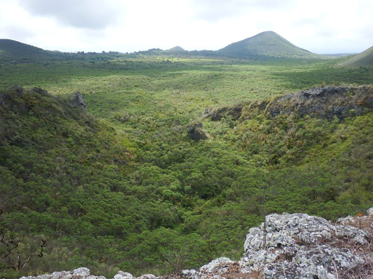 Floreana highlands Galapagos