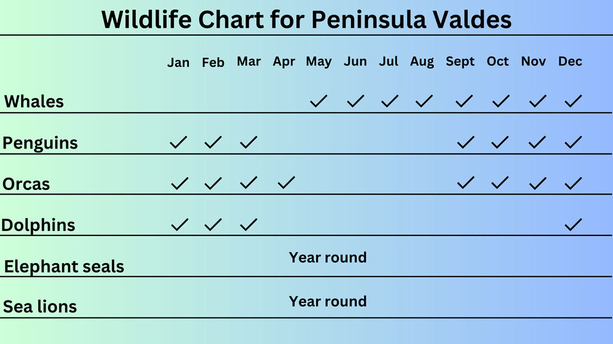 Wildlife Chart For Peninsula Valdes