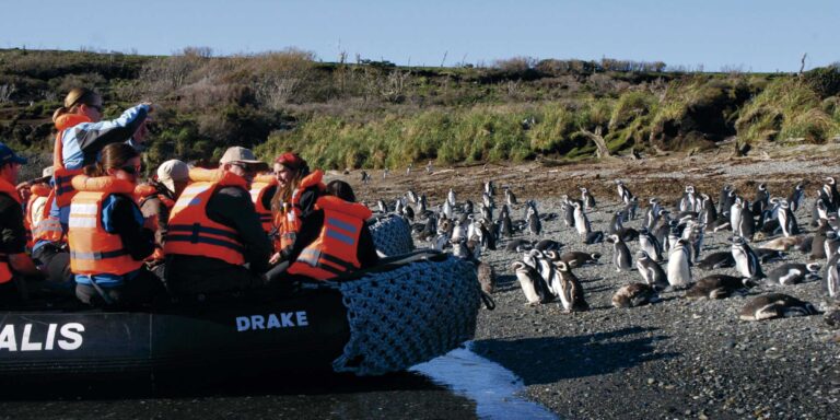 australis tucker islets patagonia chile