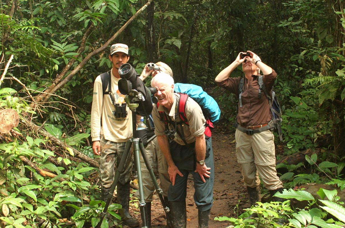 Bird Watching Amazon Peru