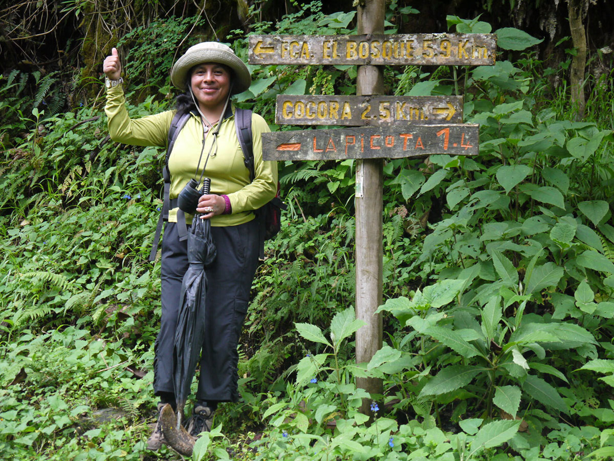 Cocora Trekking Julia Colombia