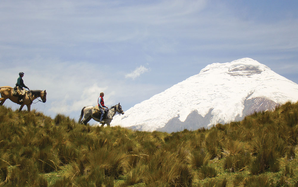 horse riders cotopaxi ecuador