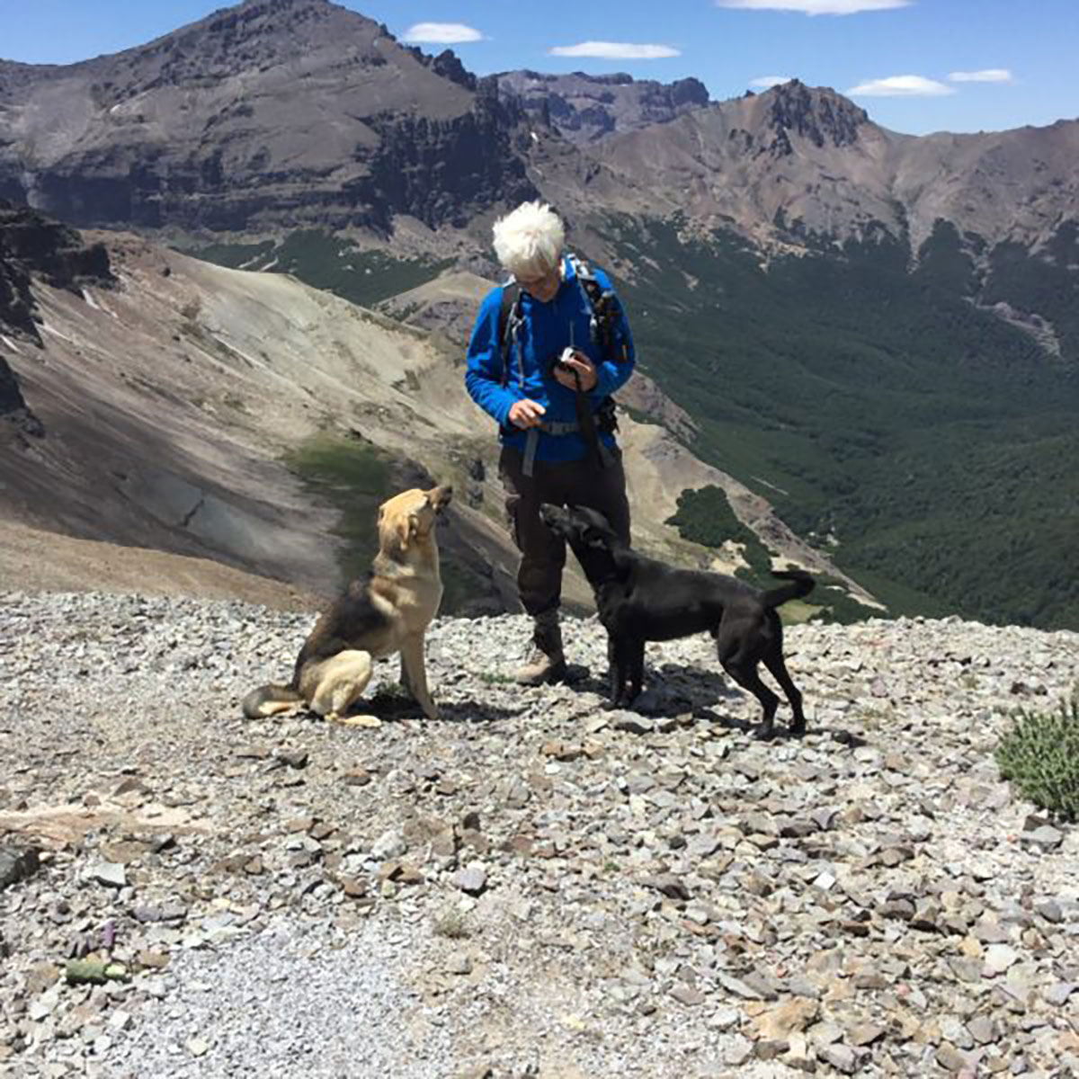 Lady and dogs in mountains walking Argentina near Bariloche