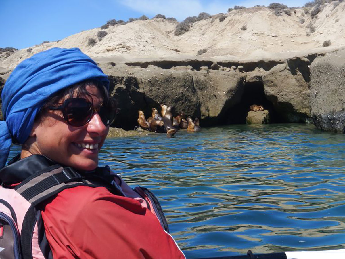 Kayak With Sea Lions Peninsula Valdes Argentina