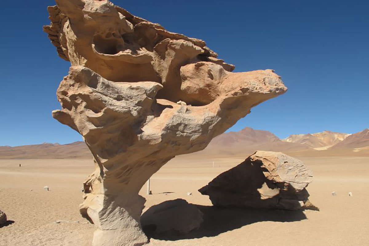 Stone Tree Uyuni Bolivia