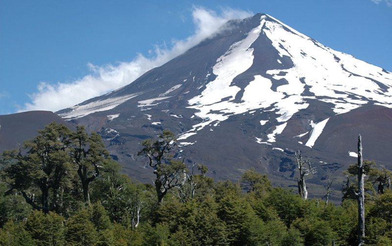 llaima volcano conguillo national park chile